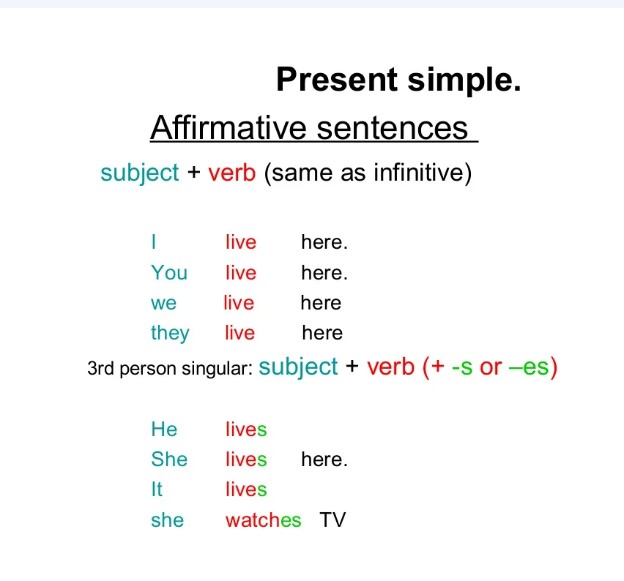 Present simple положительные. Present simple affirmative правила. Present simple affirmative sentences. Present simple positive. Present simple affirmative.